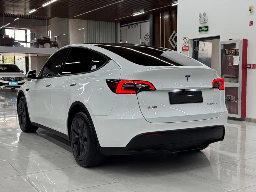 Tesla Model Y — миниатюра 4