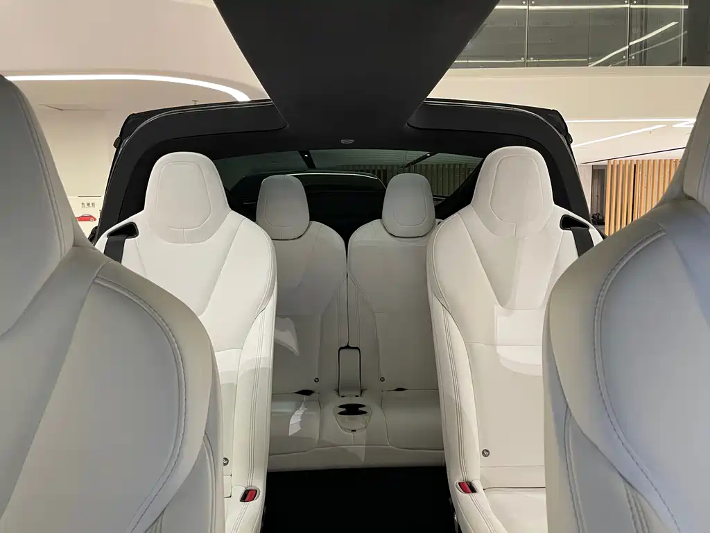 Tesla Model X — миниатюра 12