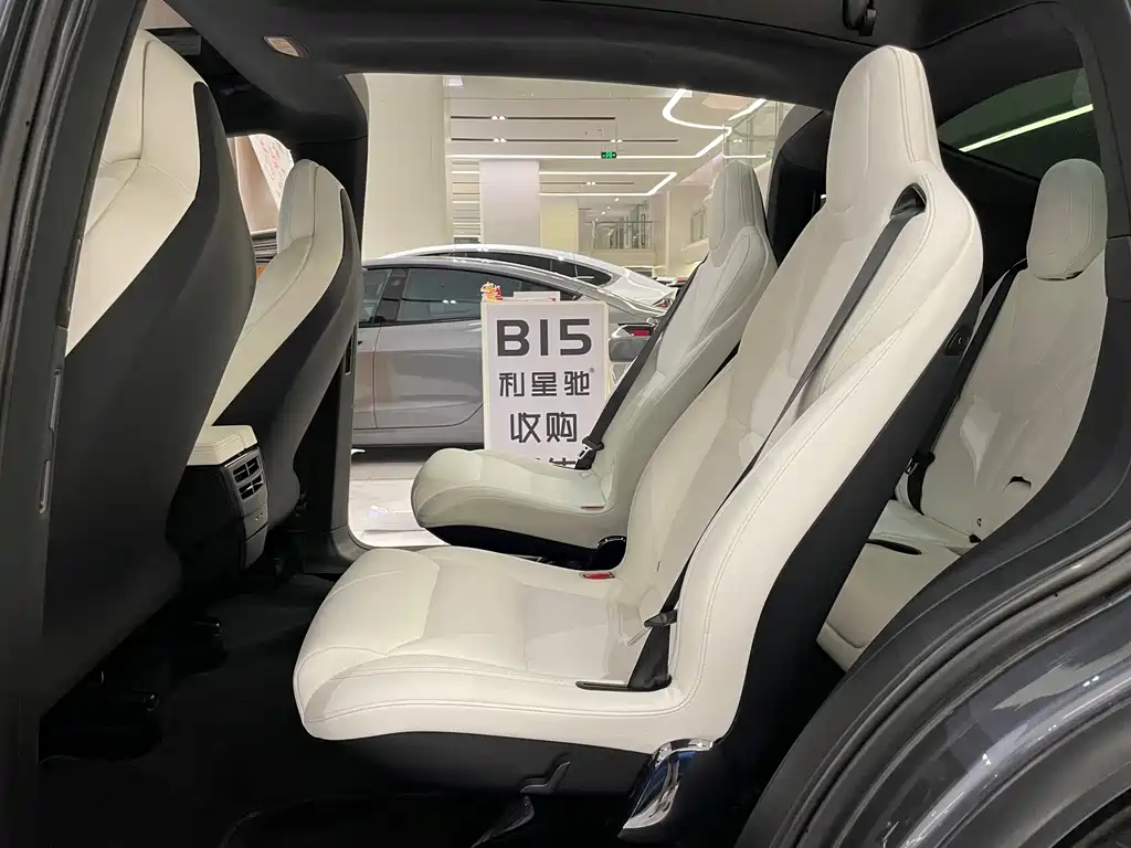 Tesla Model X — миниатюра 6
