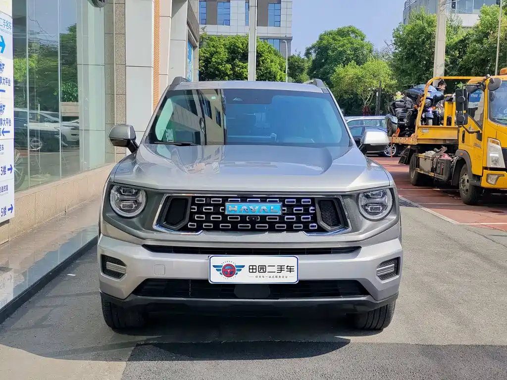 Haval Плюс новая энергия. — миниатюра 2