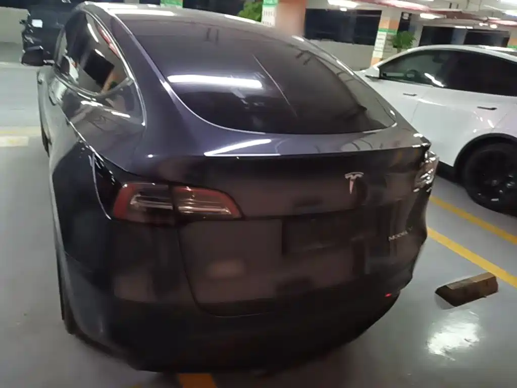 Tesla Model Y — миниатюра 6
