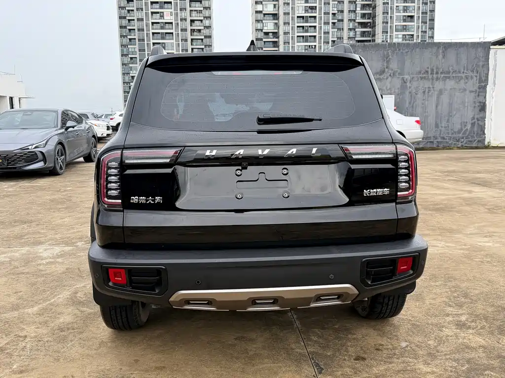Haval Big Dog — миниатюра 17