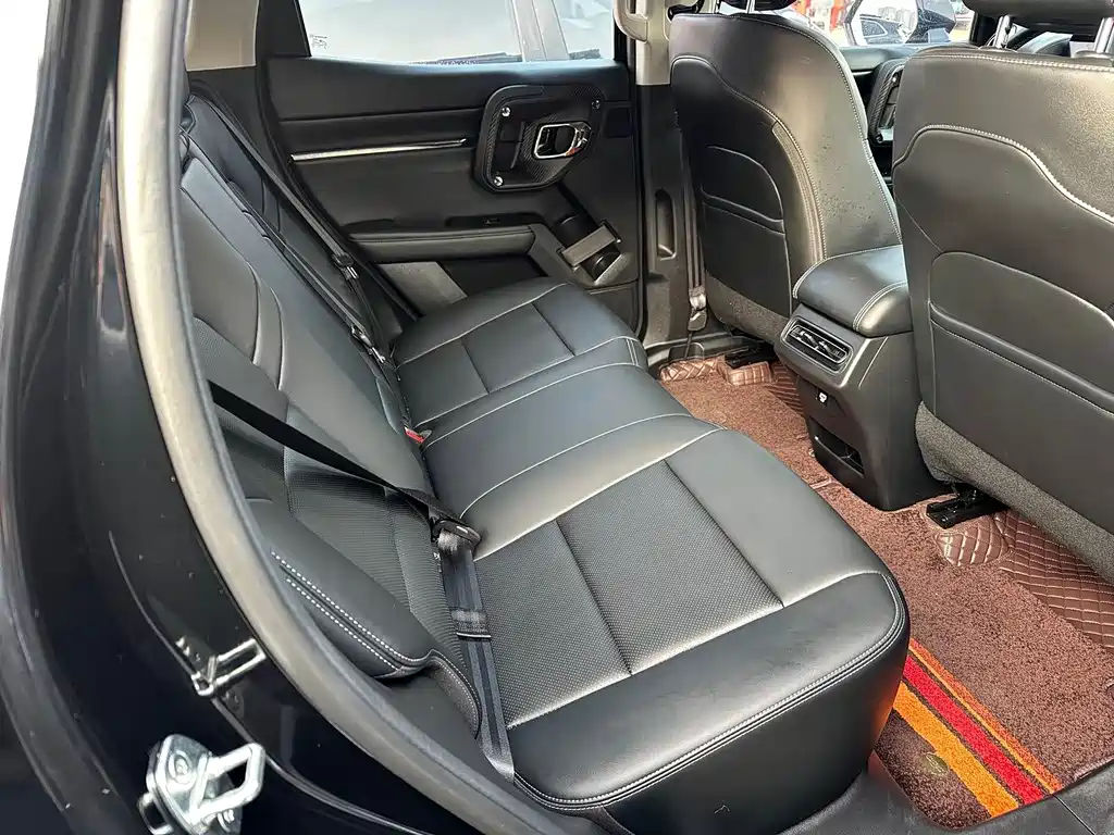 Haval Big Dog PLUS — миниатюра 14