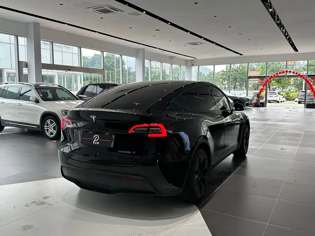 Tesla Model Y — миниатюра 4