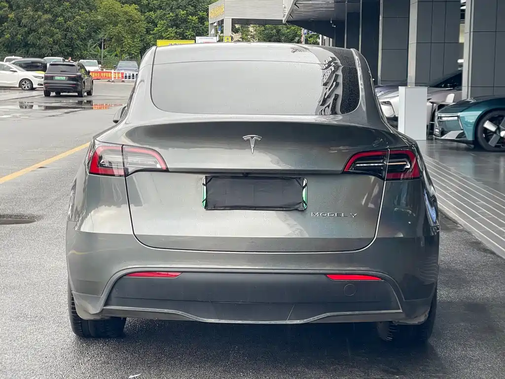 Tesla Model Y — миниатюра 3