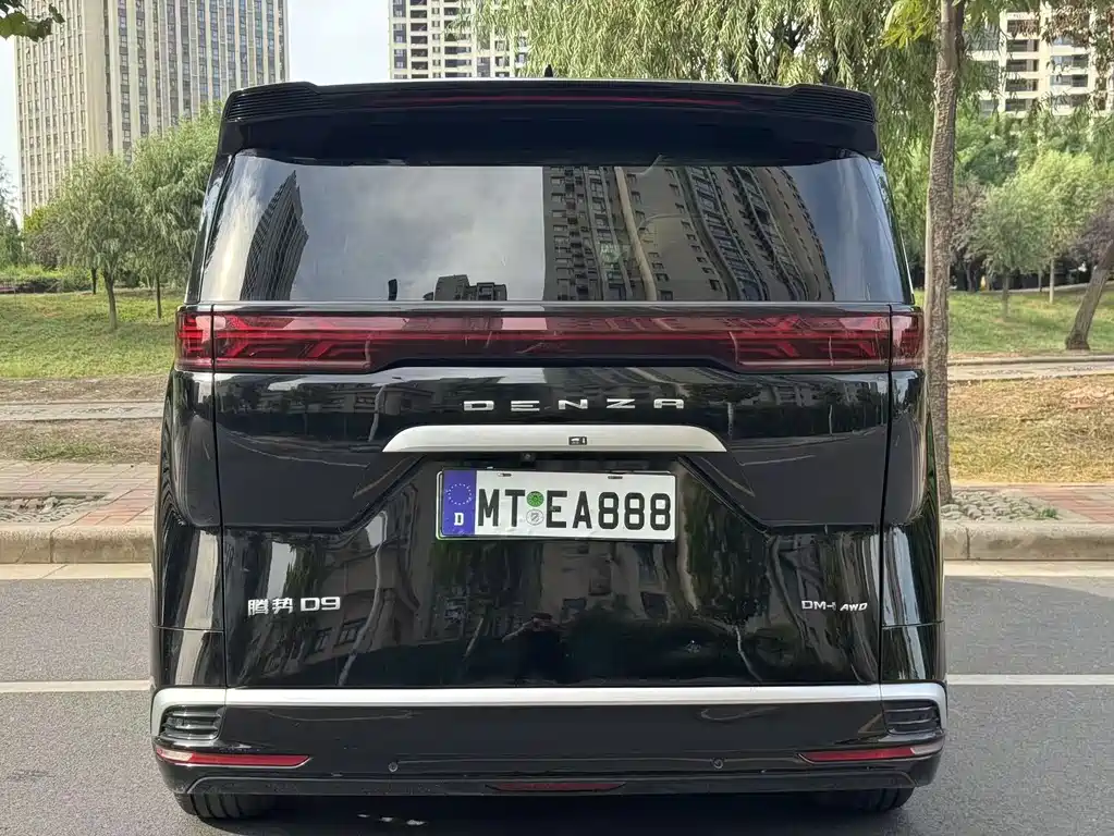 Denza Denza D9 — миниатюра 8