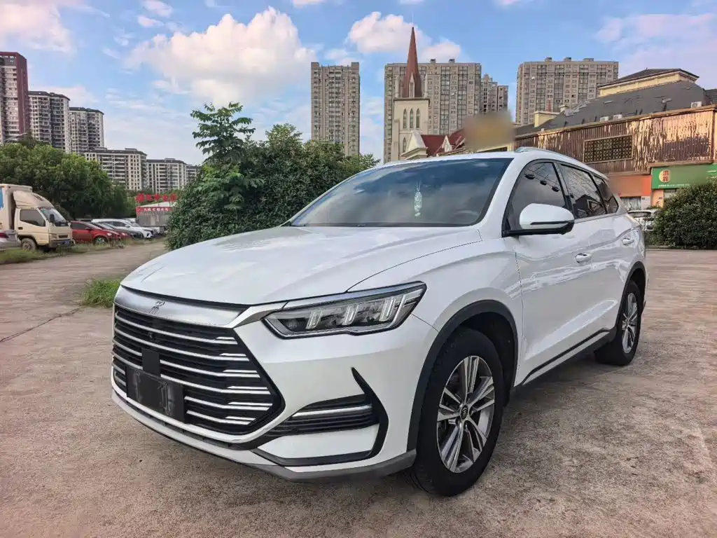 BYD Pro — миниатюра 2