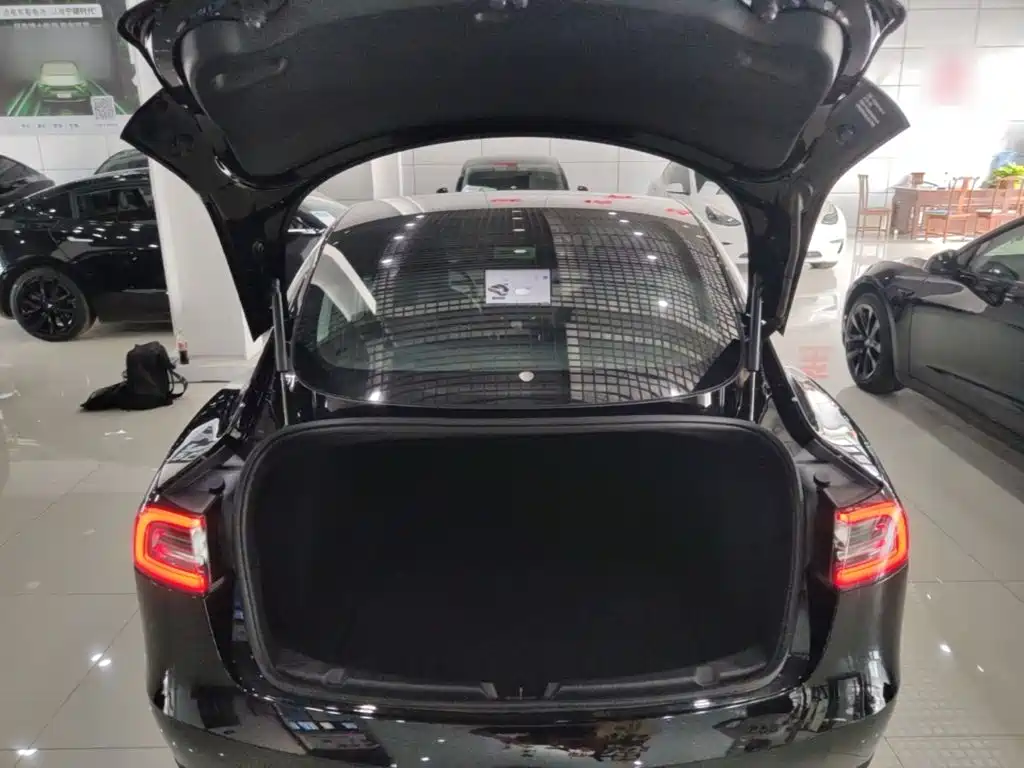 Tesla Model 3 — миниатюра 16