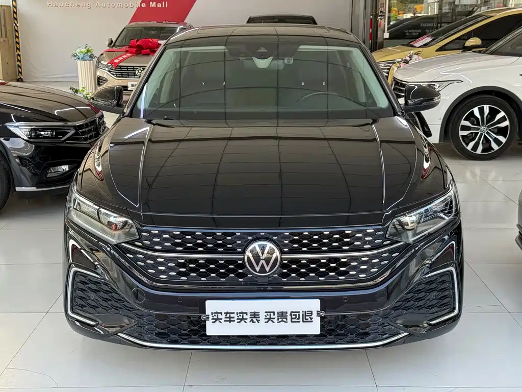 Volkswagen Passat — миниатюра 2