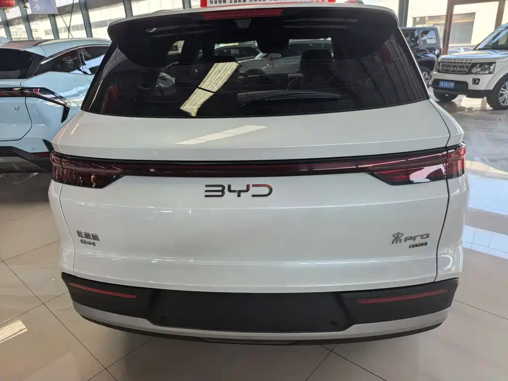BYD Pro New Energy — миниатюра 4