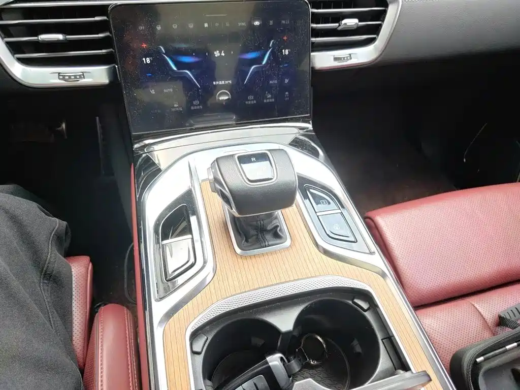 Hongqi Hongqi E-HS9 — миниатюра 7