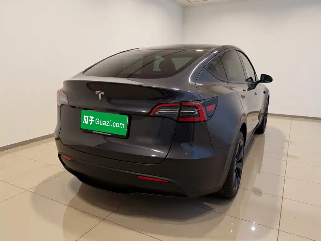 Tesla Model Y — миниатюра 4