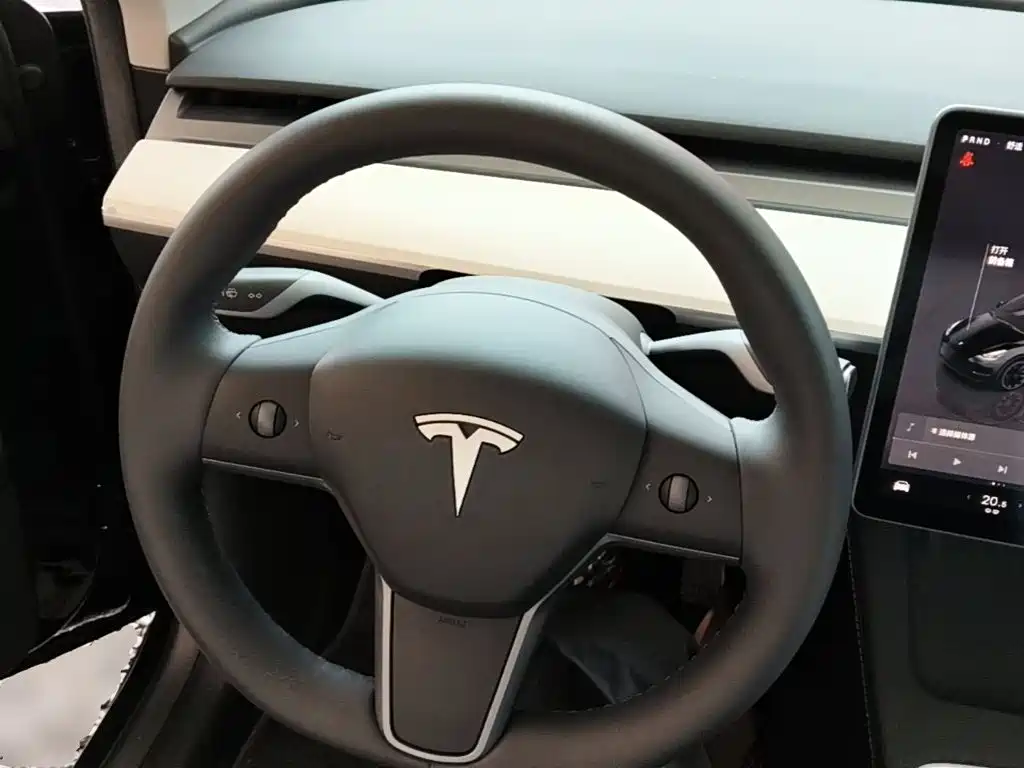 Tesla Model Y — фотографии объявления, Фото 11