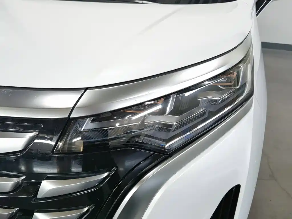 Denza Denza D9 — миниатюра 7