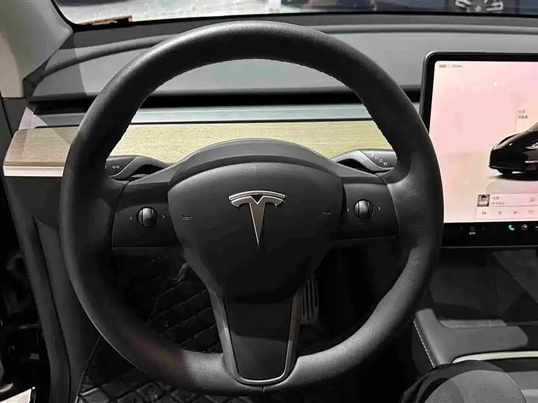 Tesla Model Y — миниатюра 8