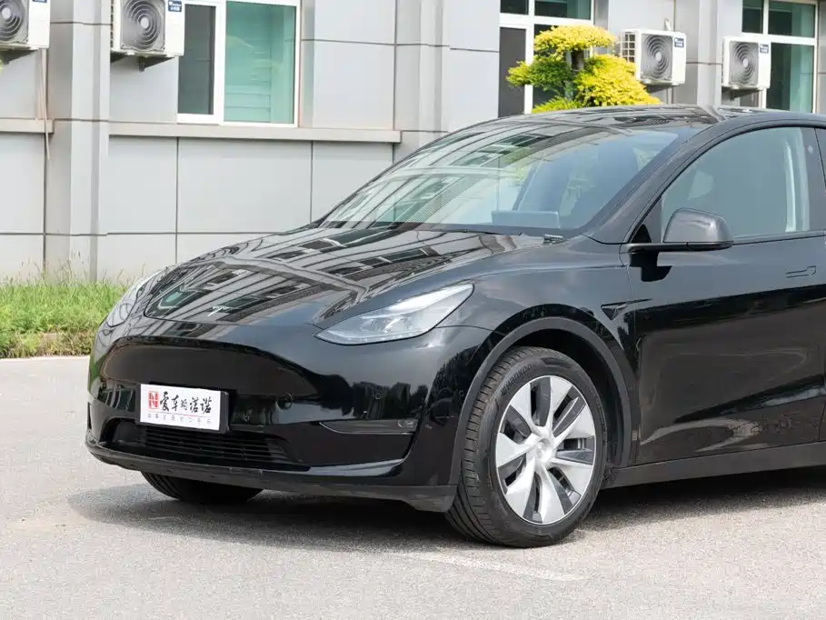 Tesla Model Y — миниатюра 4