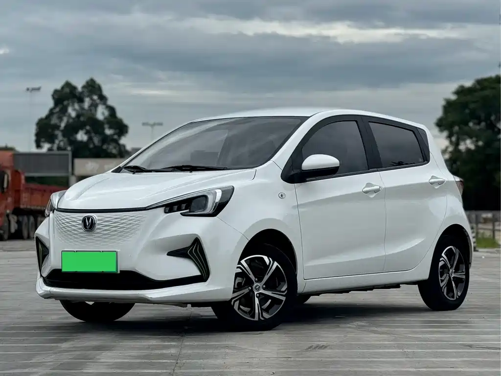 2022 Changan Benni EC/EV - zdjęcie 1 z 11