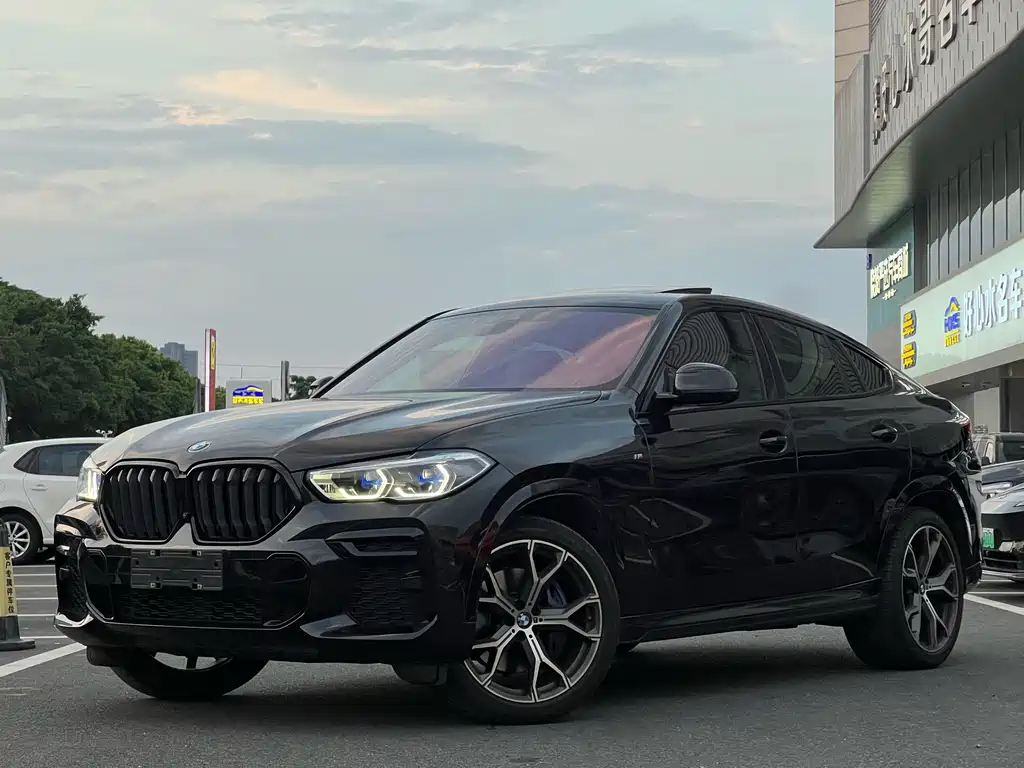 BMW X6