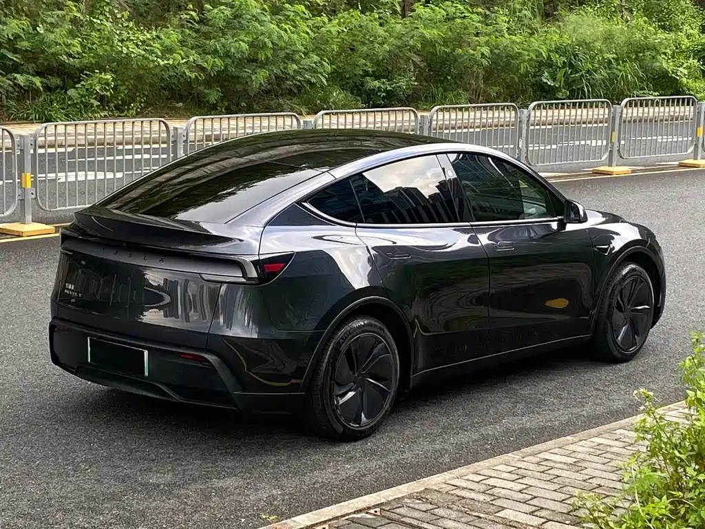 Tesla Model Y — миниатюра 4