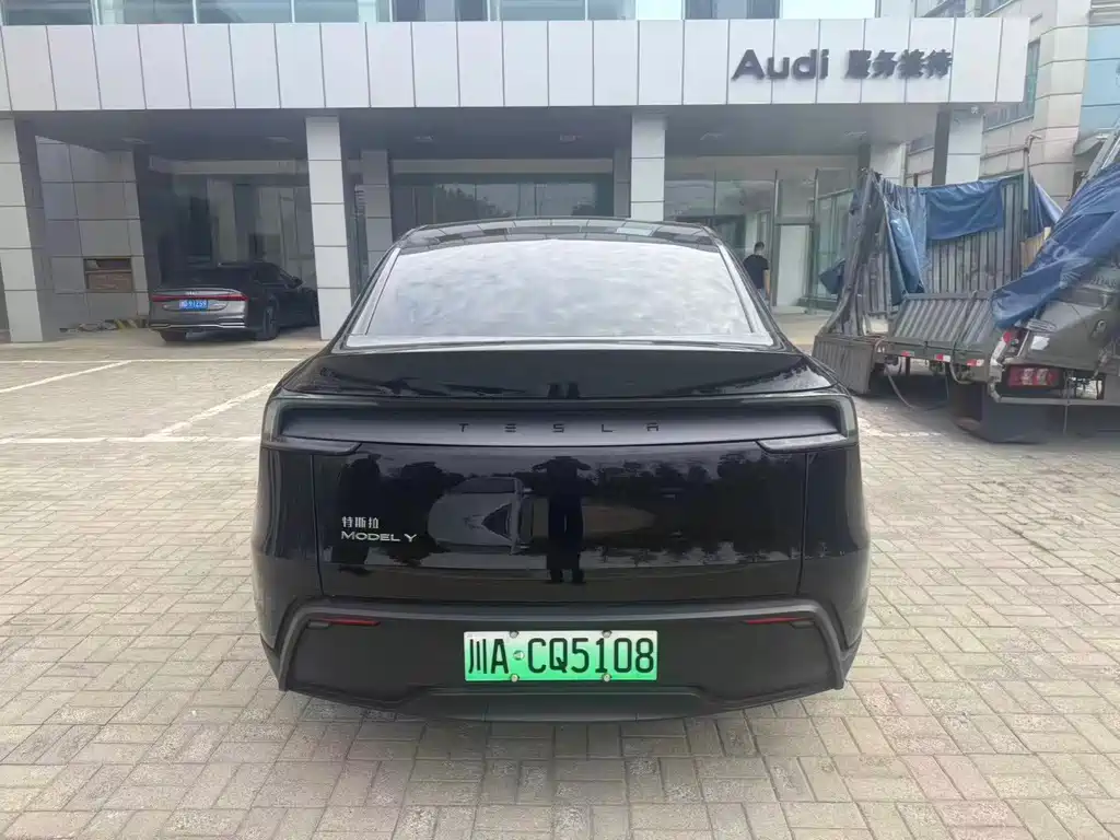 Tesla Model Y — миниатюра 5