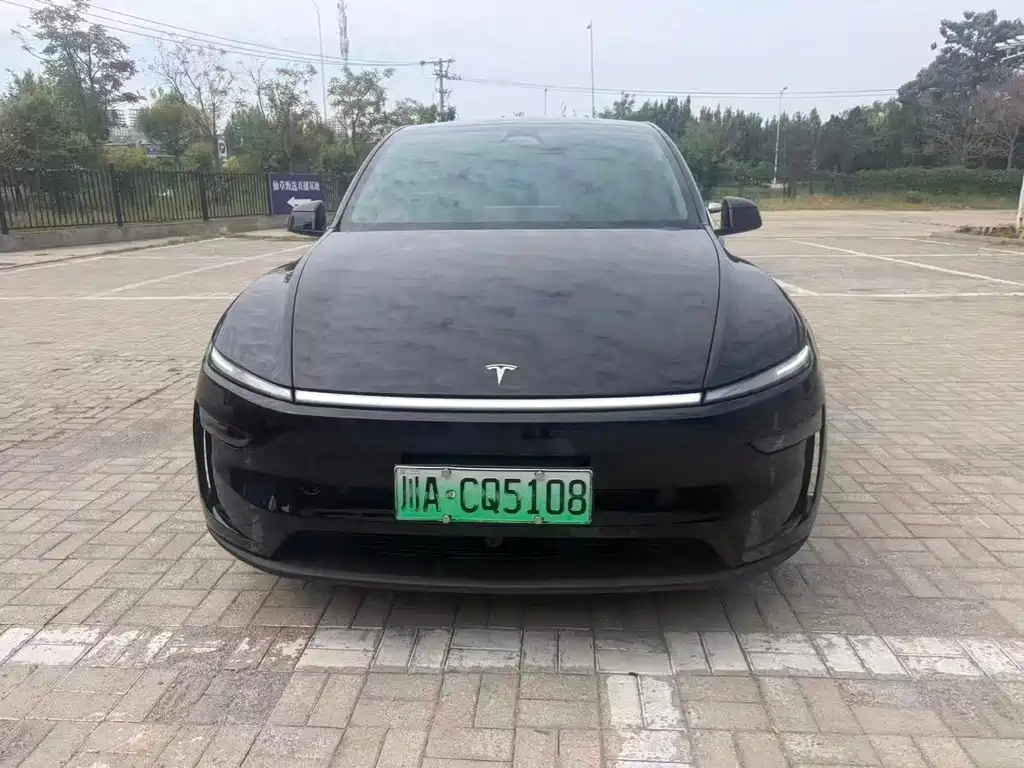 Tesla Model Y — миниатюра 2