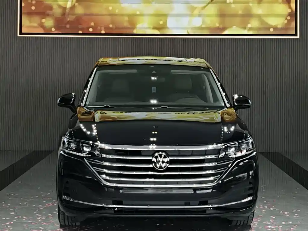 Volkswagen Viloran — миниатюра 2