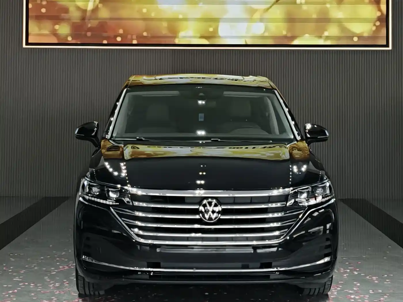 Volkswagen Viloran