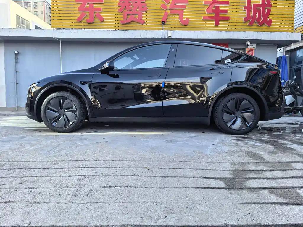 Tesla Model Y — миниатюра 7