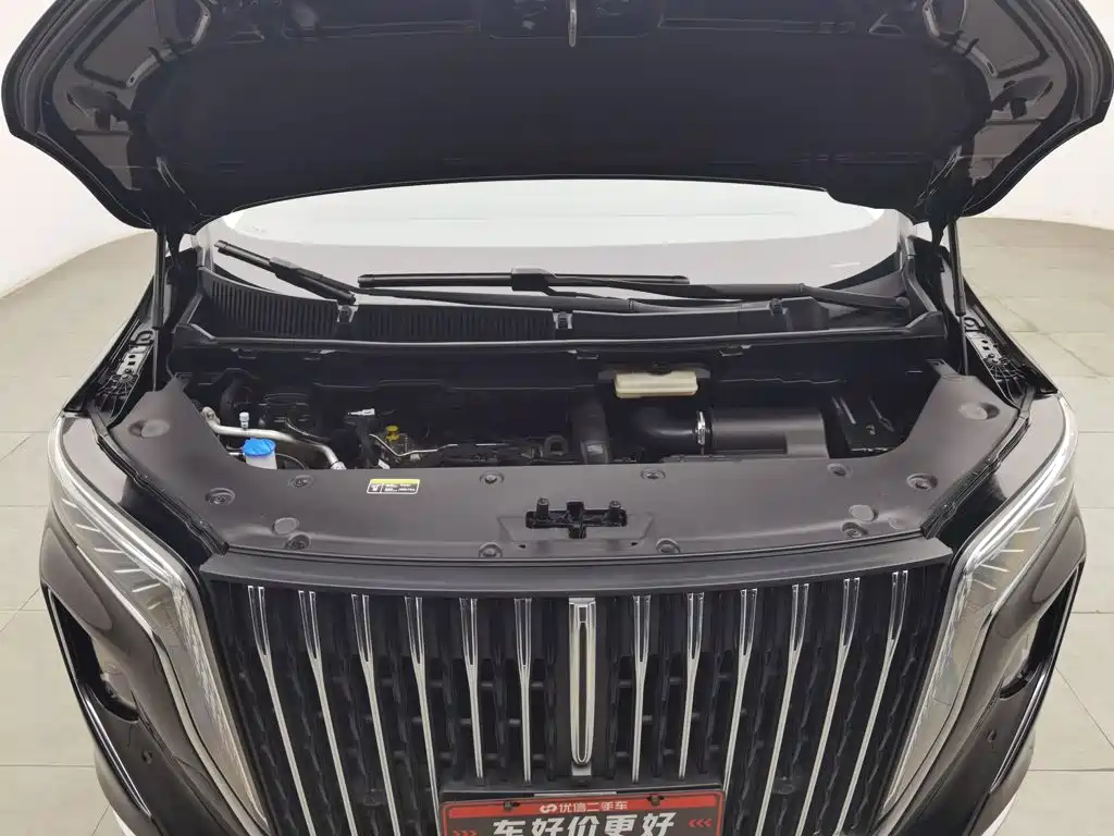 Hongqi Hongqi HQ9 — миниатюра 6