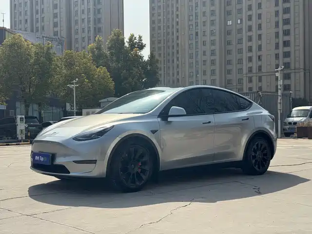 TESLA MODEL Y 2021
