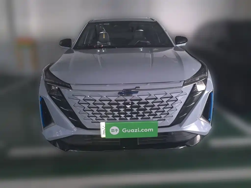 Oshan Oushang Z6 New Energy — миниатюра 24