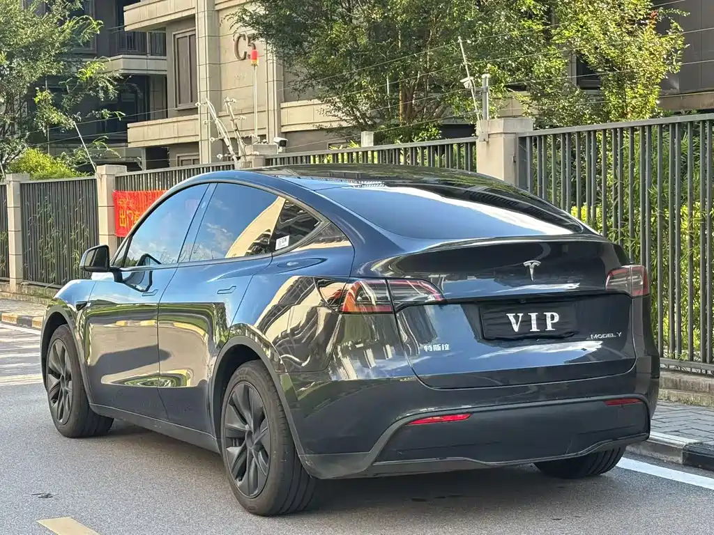 Tesla Model Y — миниатюра 9