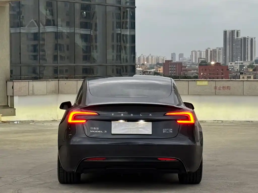Tesla Model 3 — миниатюра 14