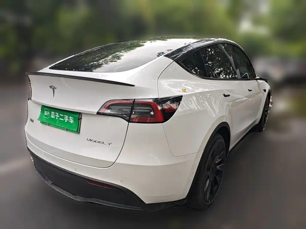 Tesla Model Y — миниатюра 4