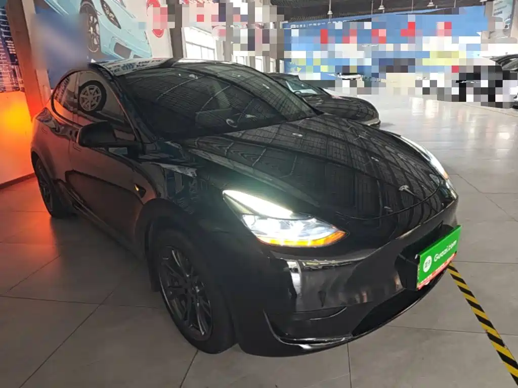 Tesla Model Y — миниатюра 4