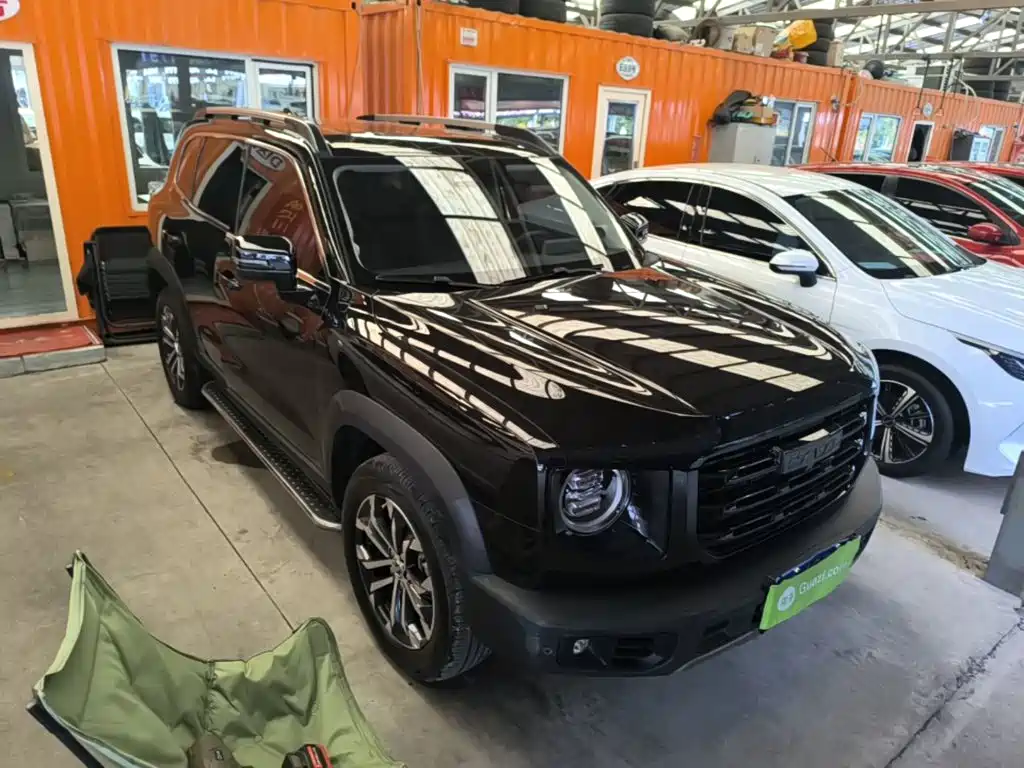 Haval 长城大狗 — миниатюра 4
