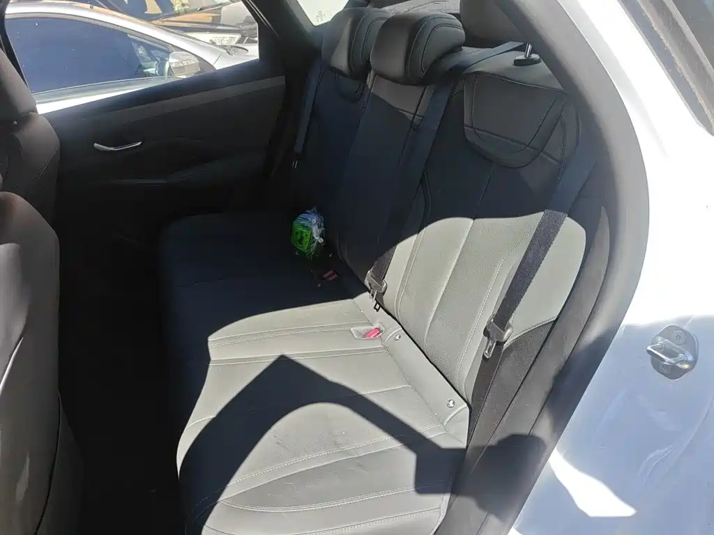 BYD Qin PLUS — миниатюра 18