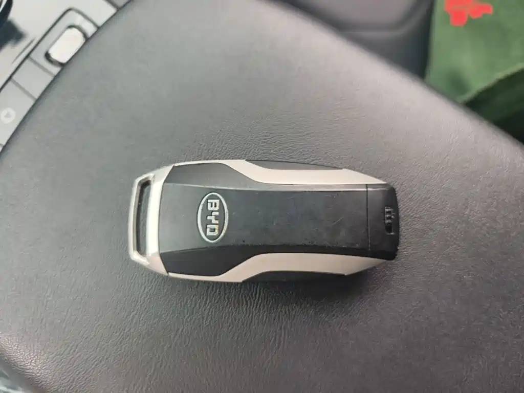 BYD Pro — миниатюра 9