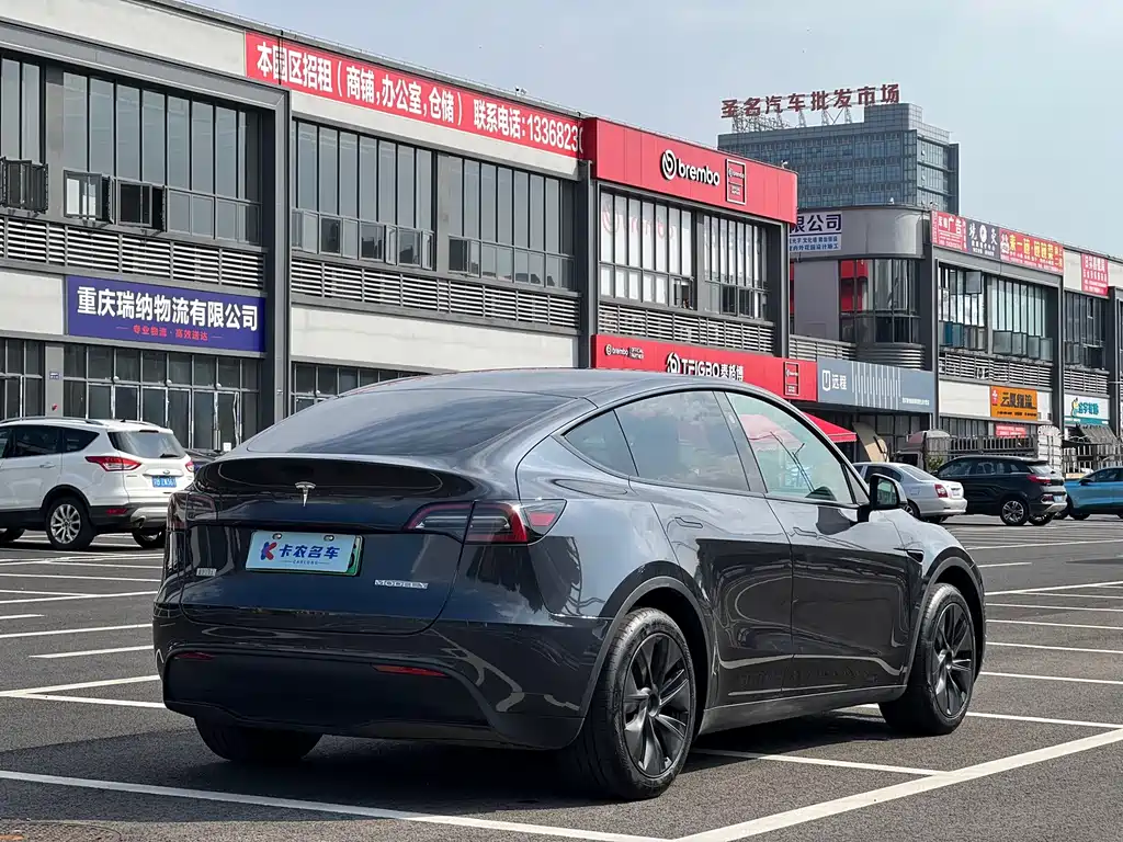Tesla Model Y — миниатюра 4