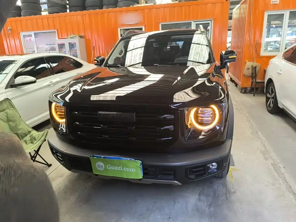 Haval 长城大狗 — миниатюра 3