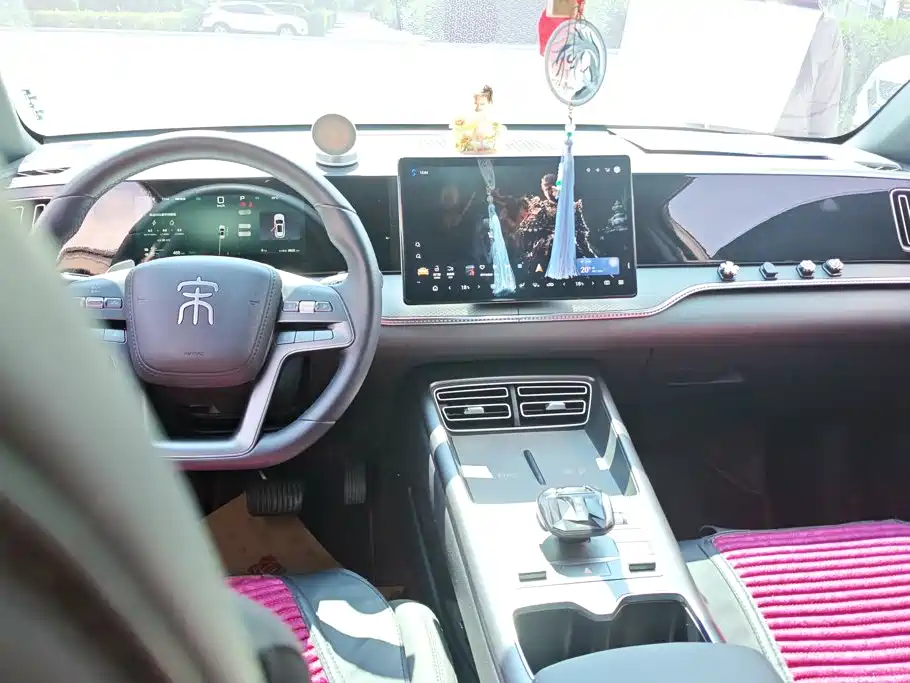 BYD Pro New Energy — миниатюра 11