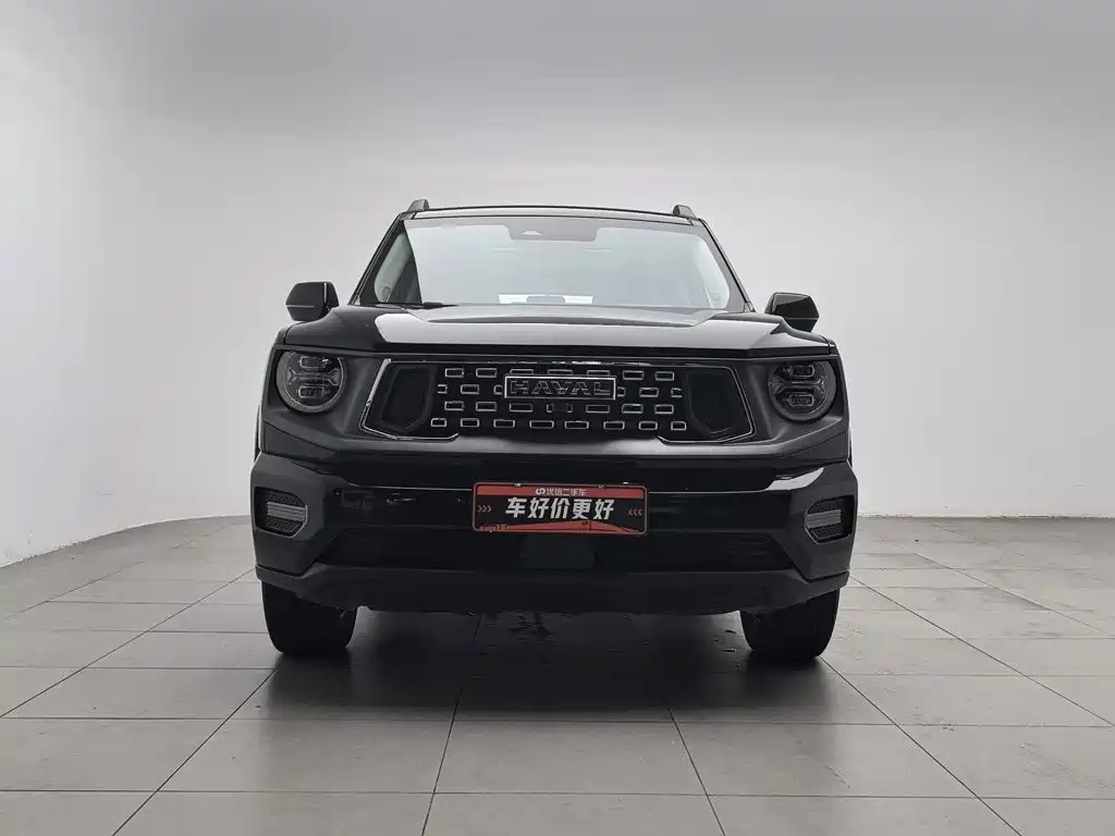Haval Haval Big Dog PLUS — миниатюра 3