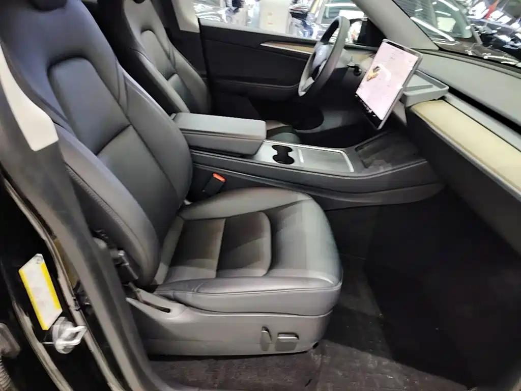 Tesla Model Y — миниатюра 25