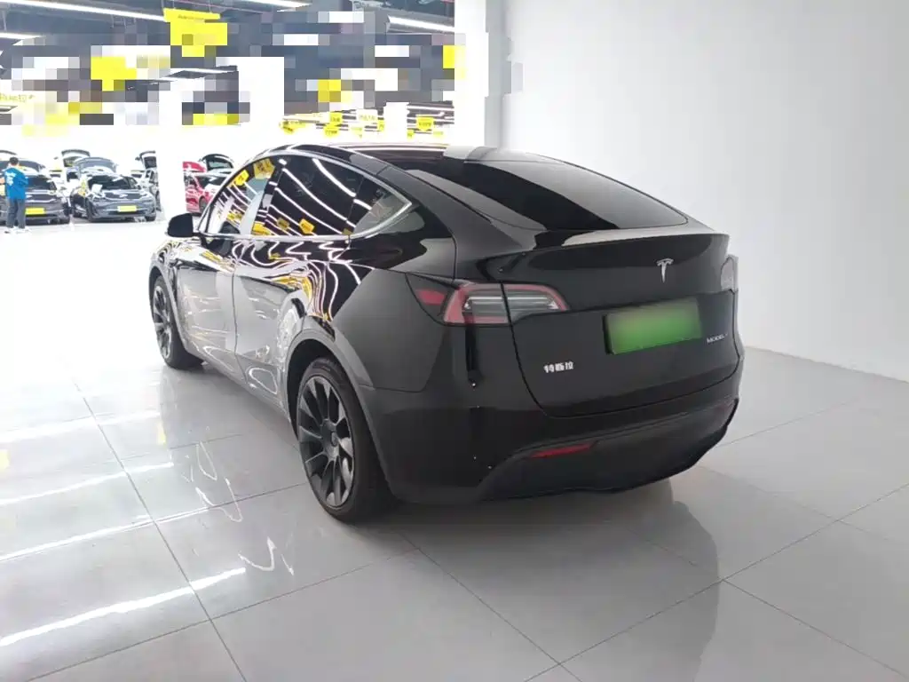 Tesla Model Y — миниатюра 5