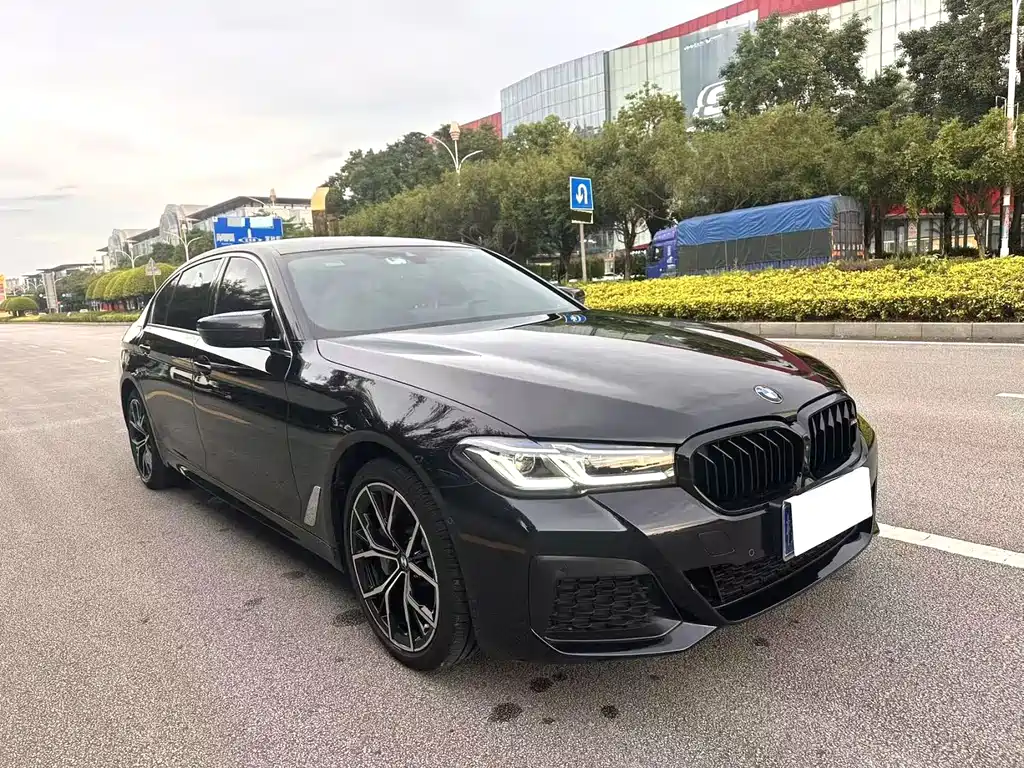 BMW 5 Series — миниатюра 3