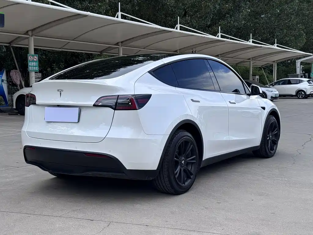 Tesla Model Y — миниатюра 5