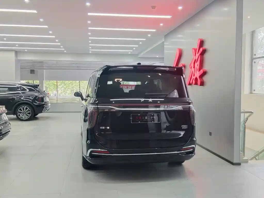 Hongqi Hongqi HQ9 — миниатюра 11
