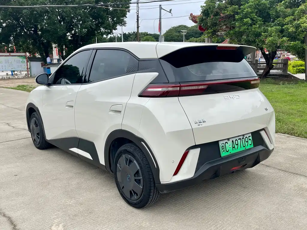 BYD Seagull 2024 305km