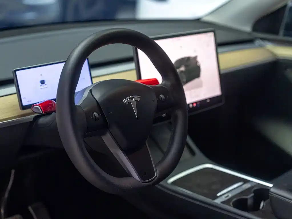 Tesla Model Y — миниатюра 10