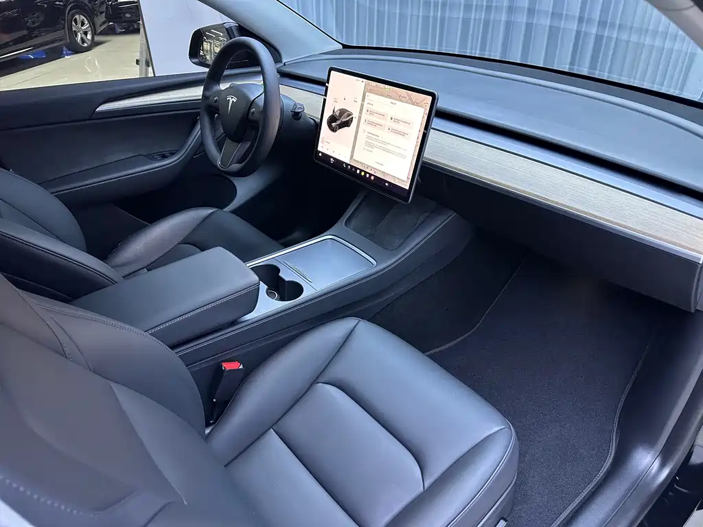 Tesla Model Y — миниатюра 15